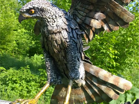 Adler - Gartenskulptur aus...