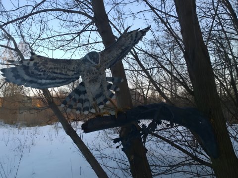 Adler - Gartenskulptur aus...