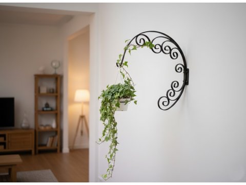 Kwietnik kuty wiszący