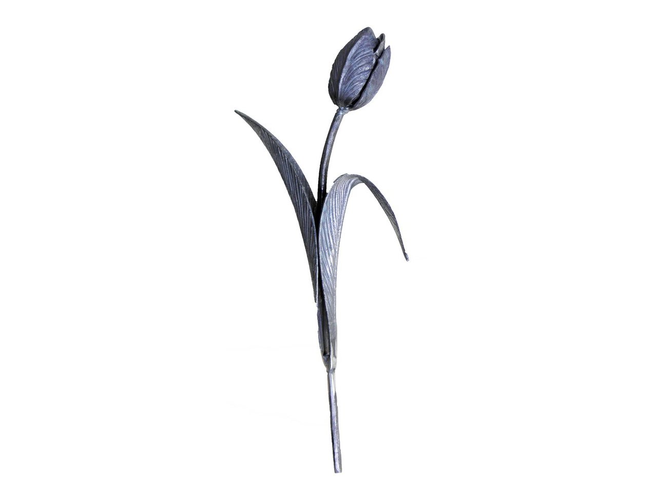 Stalowy kuty kwiat tulipan Stalowy kuty kwiat tulipan